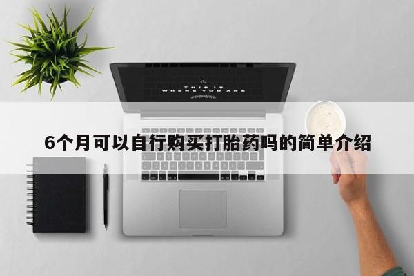 私人诊所可以卖打胎药吗6个月可以自行购买打胎药吗的简单介绍